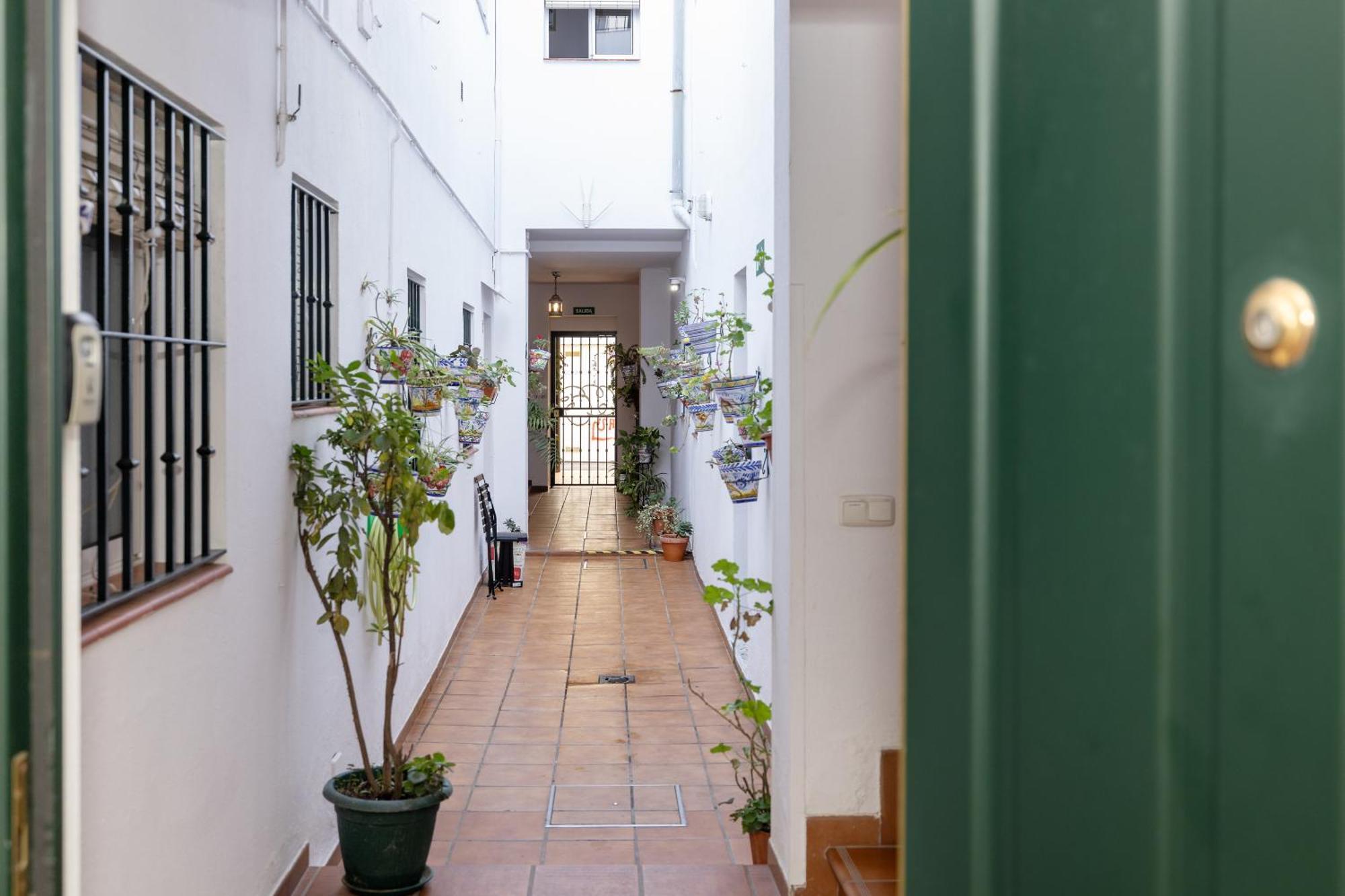Apartamentos Trianasol Seville Exterior photo